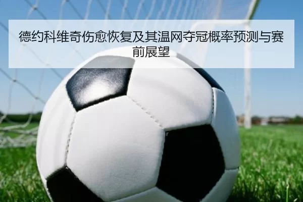德约科维奇伤愈恢复及其温网夺冠概率预测与赛前展望