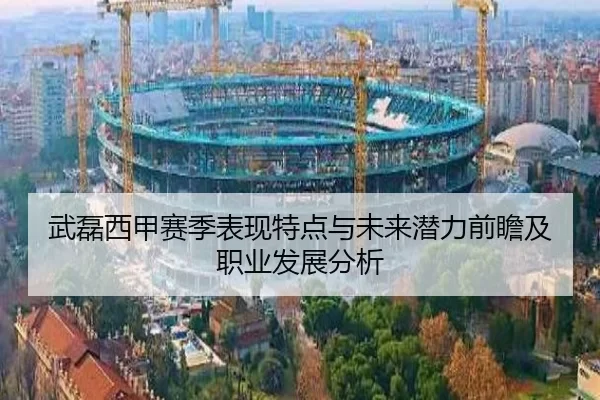 武磊西甲赛季表现特点与未来潜力前瞻及职业发展分析
